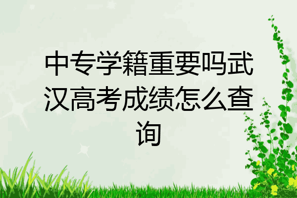 中专学籍重要吗武汉高考成绩怎么查询