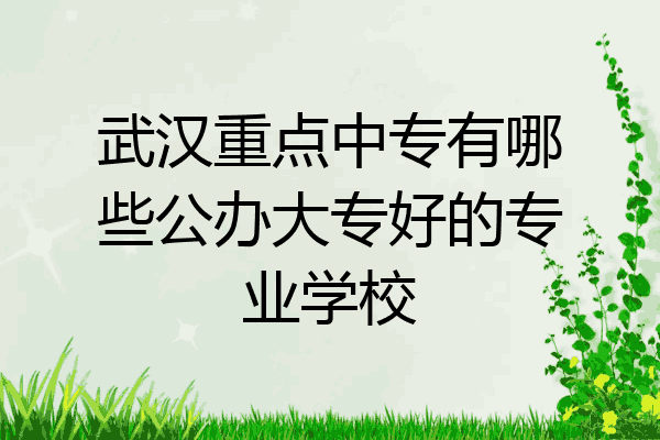 武汉重点中专有哪些公办大专好的专业学校