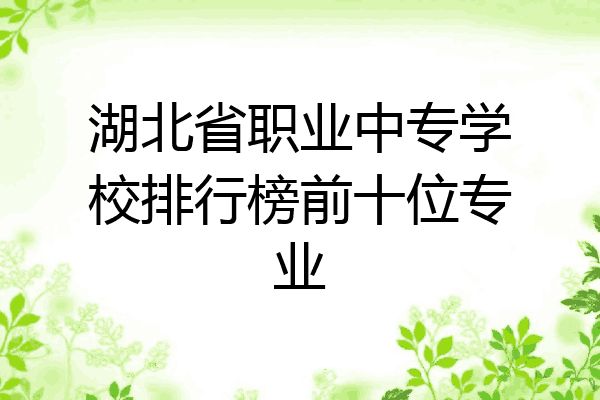 湖北省职业中专学校排行榜前十位专业