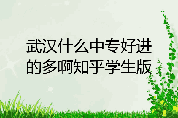 武汉什么中专好进的多啊知乎学生版