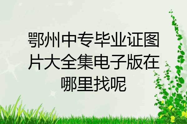 鄂州中专毕业证图片大全集电子版在哪里找呢