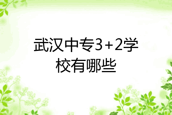 武汉中专3+2学校有哪些