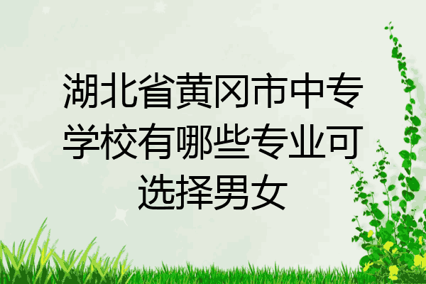 湖北省黄冈市中专学校有哪些专业可选择男女