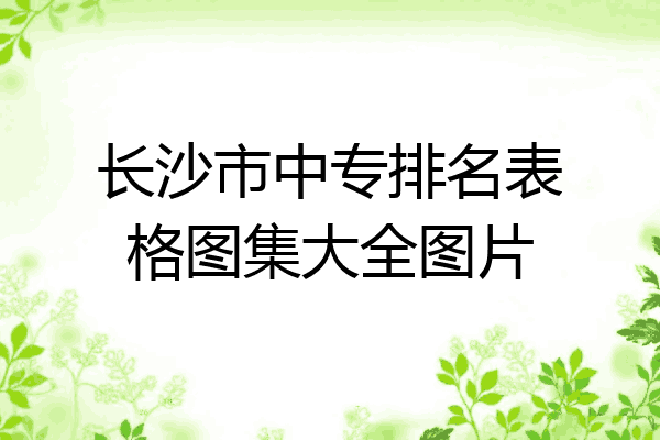 长沙市中专排名表格图集大全图片