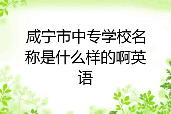 咸宁市中专学校名称是什么样的啊英语