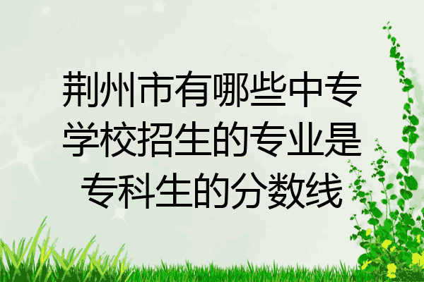 荆州市有哪些中专学校招生的专业是专科生的分数线