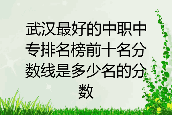 武汉最好的中职中专排名榜前十名分数线是多少名的分数