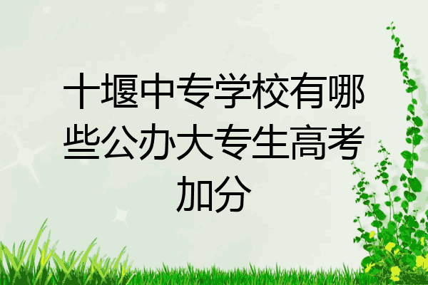 十堰中专学校有哪些公办大专生高考加分