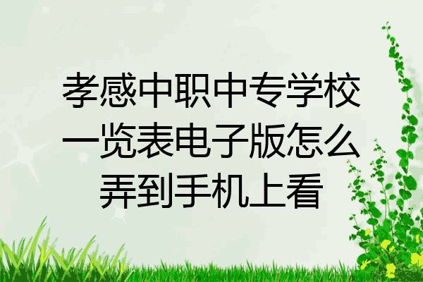 孝感中职中专学校一览表电子版怎么弄到手机上看