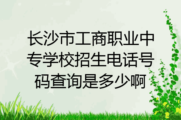 长沙市工商职业中专学校招生电话号码查询是多少啊