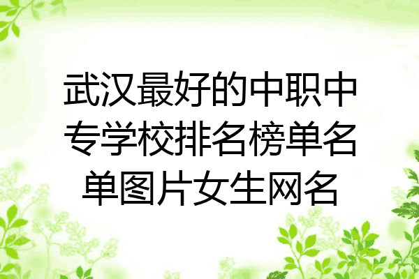 武汉最好的中职中专学校排名榜单名单图片女生网名