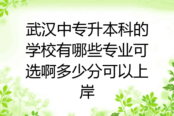 武汉中专升本科的学校有哪些专业可选啊多少分可以上岸