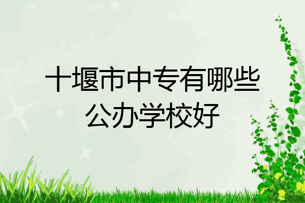 十堰市中专有哪些公办学校好