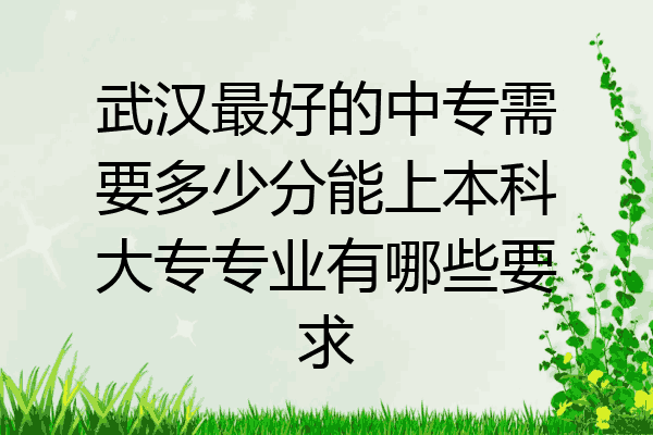 武汉最好的中专需要多少分能上本科大专专业有哪些要求