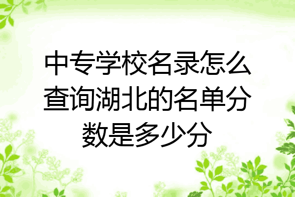 中专学校名录怎么查询湖北的名单分数是多少分