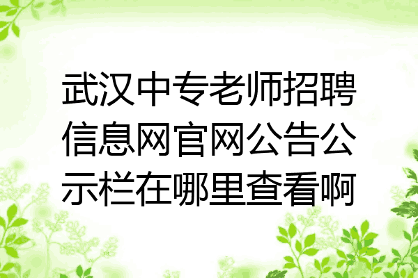 武汉中专老师招聘信息网官网公告公示栏在哪里查看啊