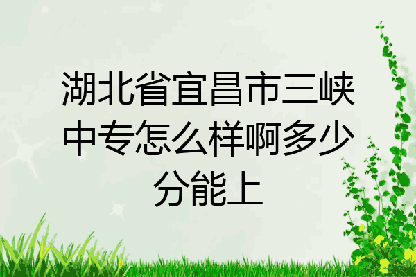 湖北省宜昌市三峡中专怎么样啊多少分能上
