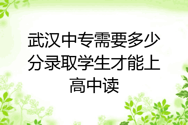 武汉中专需要多少分录取学生才能上高中读