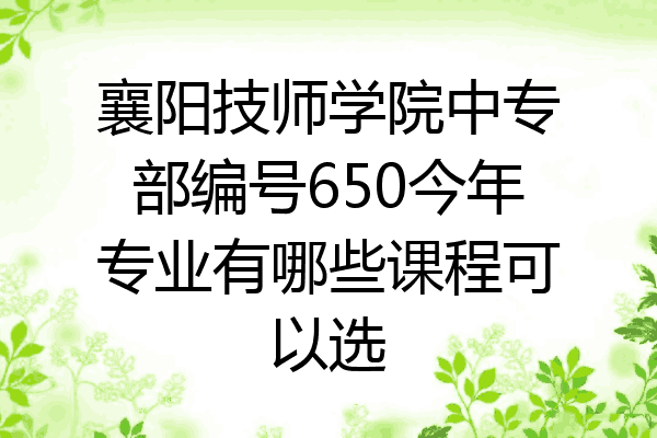 襄阳技师学院中专部编号650今年专业有哪些课程可以选