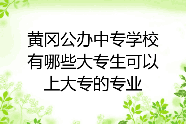 黄冈公办中专学校有哪些大专生可以上大专的专业