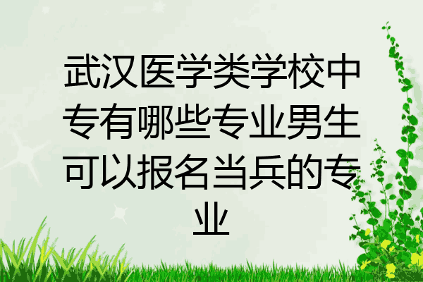 武汉医学类学校中专有哪些专业男生可以报名当兵的专业