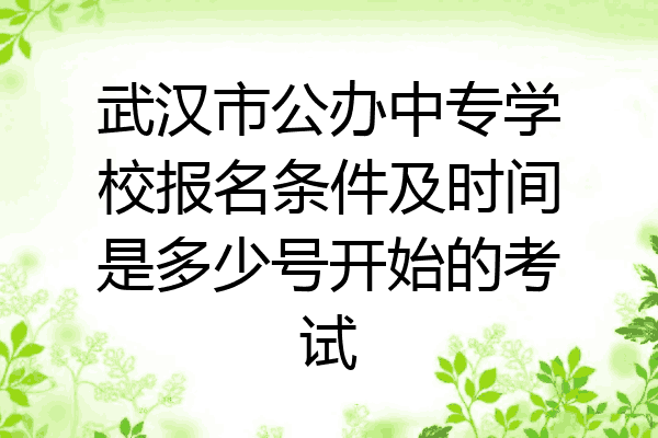 武汉市公办中专学校报名条件及时间是多少号开始的考试