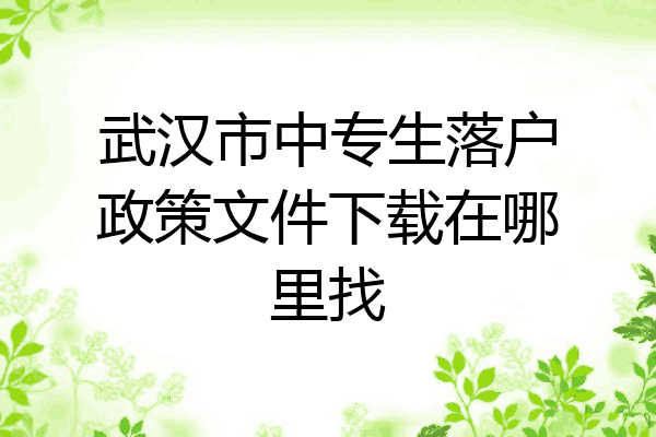 武汉市中专生落户政策文件下载在哪里找
