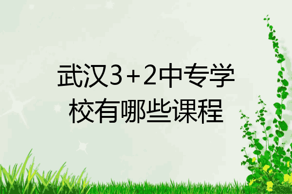 武汉3+2中专学校有哪些课程