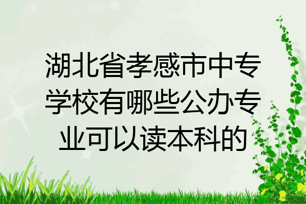 湖北省孝感市中专学校有哪些公办专业可以读本科的