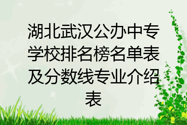 湖北武汉公办中专学校排名榜名单表及分数线专业介绍表
