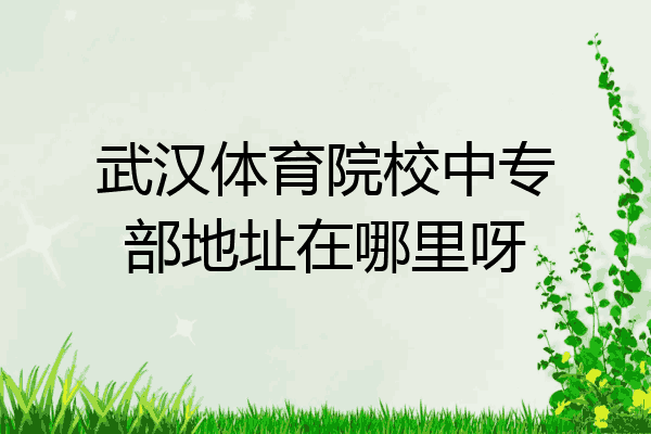 武汉体育院校中专部地址在哪里呀