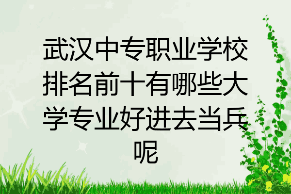 武汉中专职业学校排名前十有哪些大学专业好进去当兵呢
