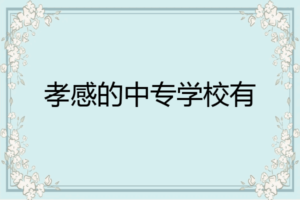 孝感的中专学校有