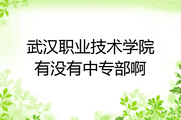 武汉职业技术学院有没有中专部啊