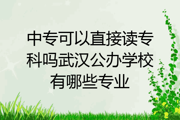 中专可以直接读专科吗武汉公办学校有哪些专业