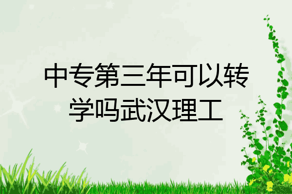 中专第三年可以转学吗武汉理工
