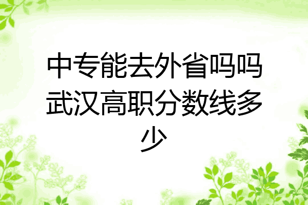 中专能去外省吗吗武汉高职分数线多少