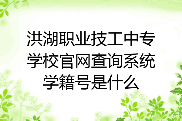 洪湖职业技工中专学校官网查询系统学籍号是什么