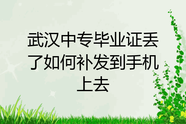 武汉中专毕业证丢了如何补发到手机上去