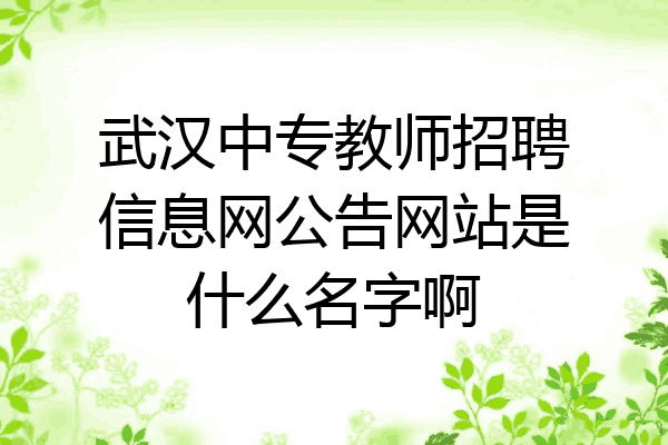 武汉中专教师招聘信息网公告网站是什么名字啊