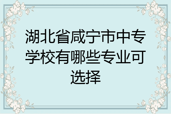 湖北省咸宁市中专学校有哪些专业可选择