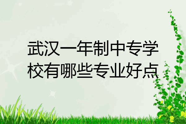 武汉一年制中专学校有哪些专业好点