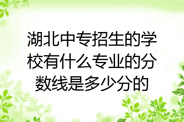 湖北中专招生的学校有什么专业的分数线是多少分的
