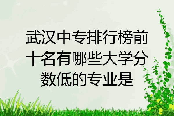 武汉中专排行榜前十名有哪些大学分数低的专业是