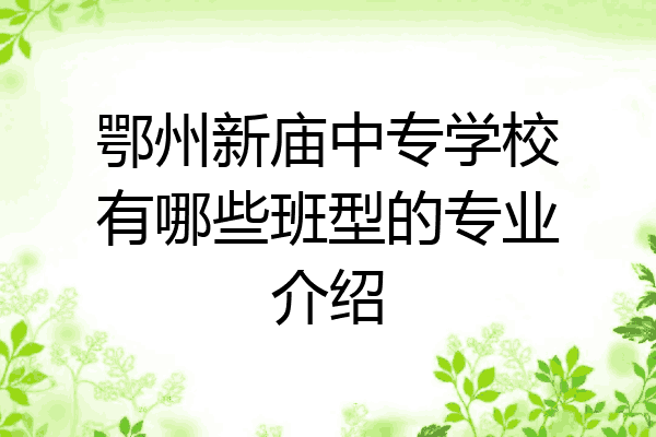 鄂州新庙中专学校有哪些班型的专业介绍