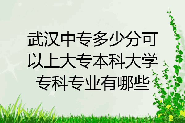 武汉中专多少分可以上大专本科大学专科专业有哪些