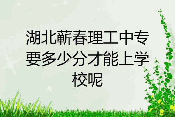 湖北蕲春理工中专要多少分才能上学校呢