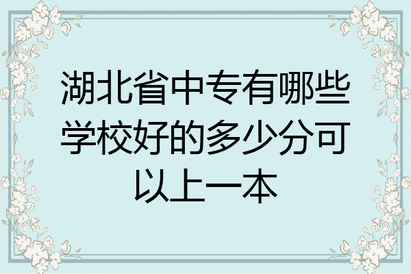湖北省中专有哪些学校好的多少分可以上一本