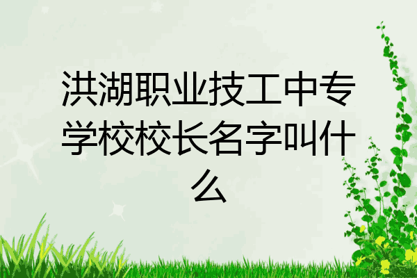 洪湖职业技工中专学校校长名字叫什么