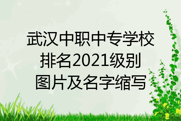 武汉中职中专学校排名2021级别图片及名字缩写